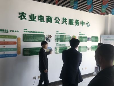經典電商化開發(fā) 